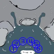 地图缩略图