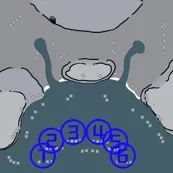 地图缩略图